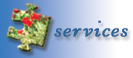 services button