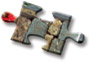 jigsaw piece 4