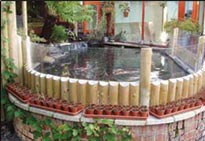 Photo of a pond